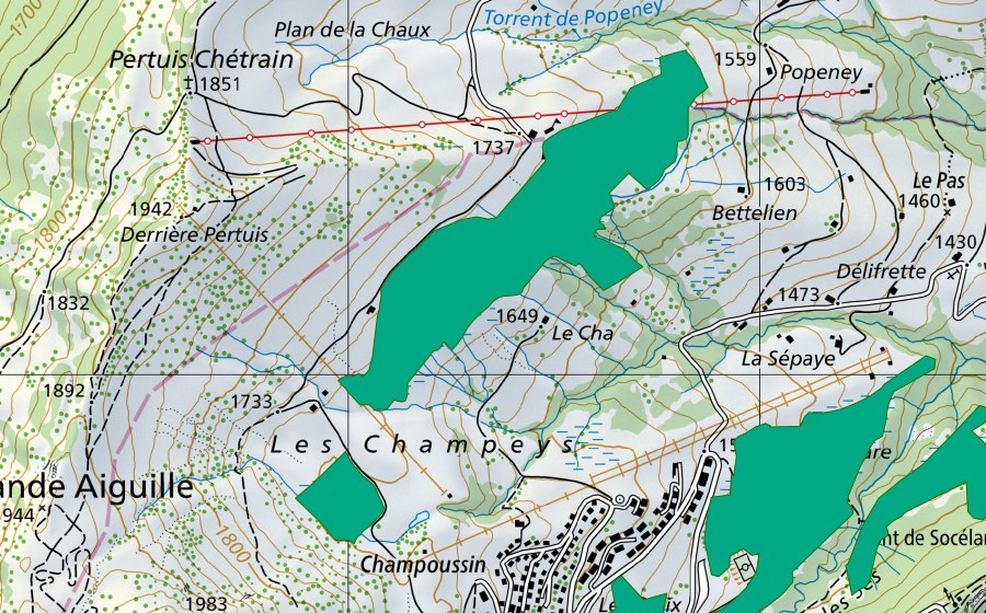 Carte nationale swisstopo avec le périmètre protégé de Bochasse (Bas-marais)