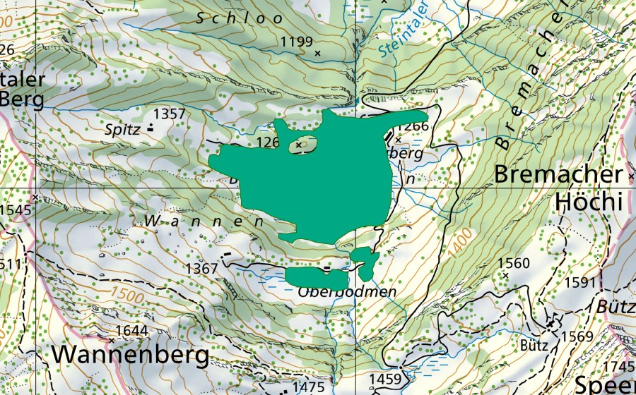Carte nationale swisstopo avec le périmètre protégé de Bodmen (Bas-marais)