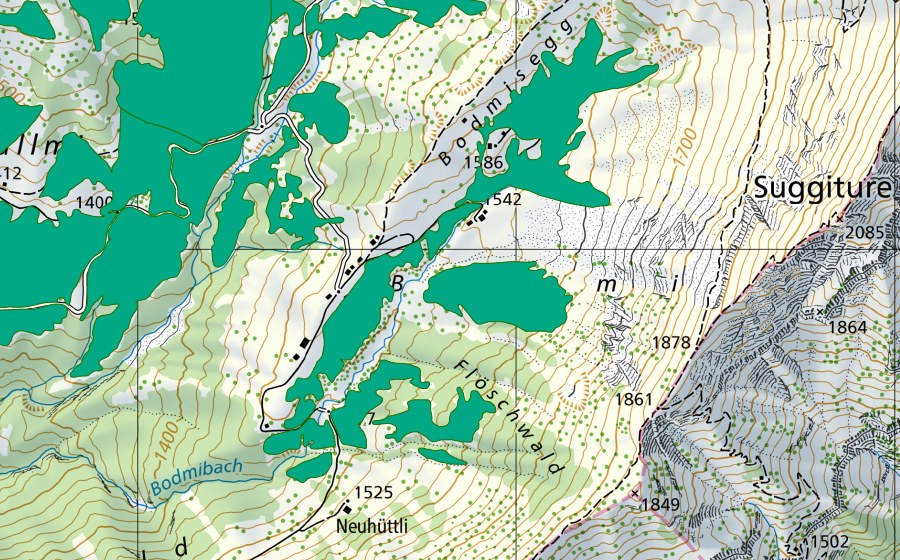 swisstopo national map showing the protected perimeter of Bodmi (Fen)
