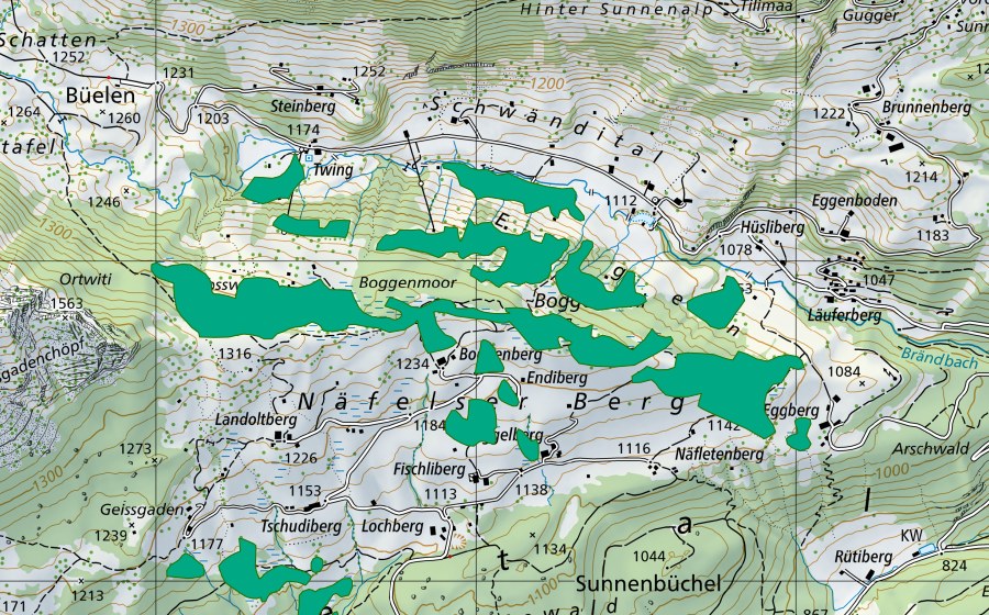 Carte nationale swisstopo avec le périmètre protégé de Boggenberg (Bas-marais)