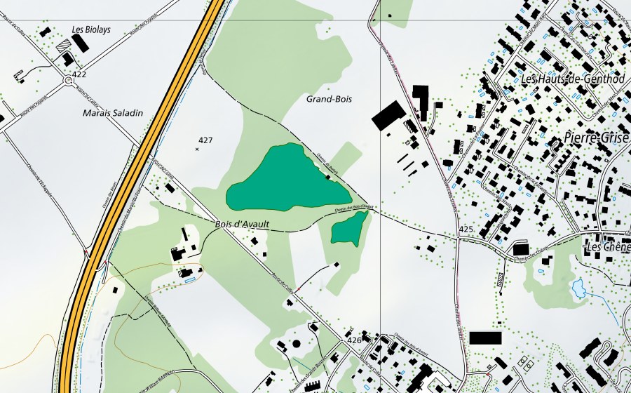 swisstopo national map showing the protected perimeter of Bois d'Avault (Fen)