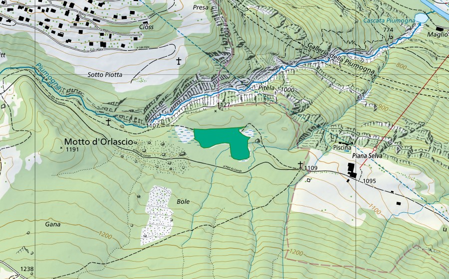 Carte nationale swisstopo avec le périmètre protégé de Bolle di Piana Selva (Bas-marais)