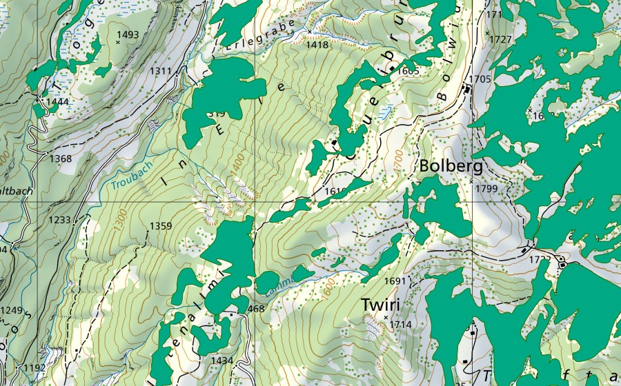 swisstopo national map showing the protected perimeter of Bolsitenallmi/Chuelibrunnen (Fen)