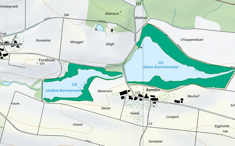 Carte nationale swisstopo avec le périmètre protégé de Bommer Weier (Bas-marais)