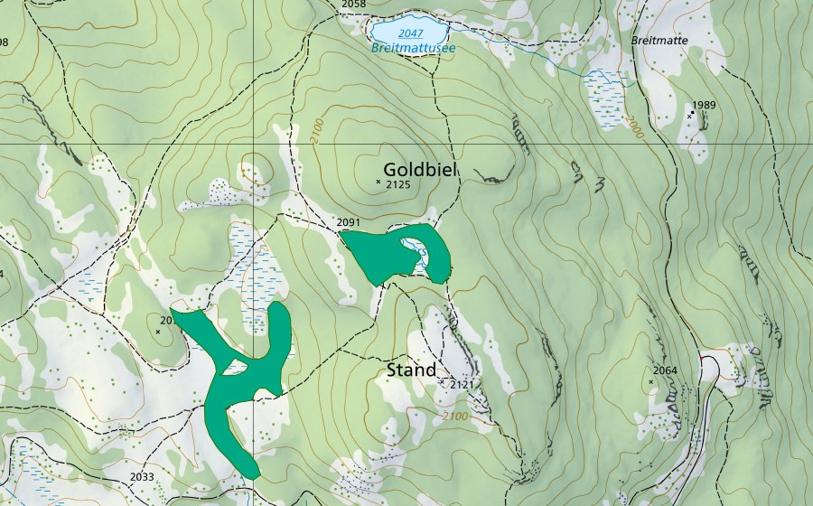 Landeskarte swisstopo mit dem Schutzperimeter von Boniger See (Flachmoor)