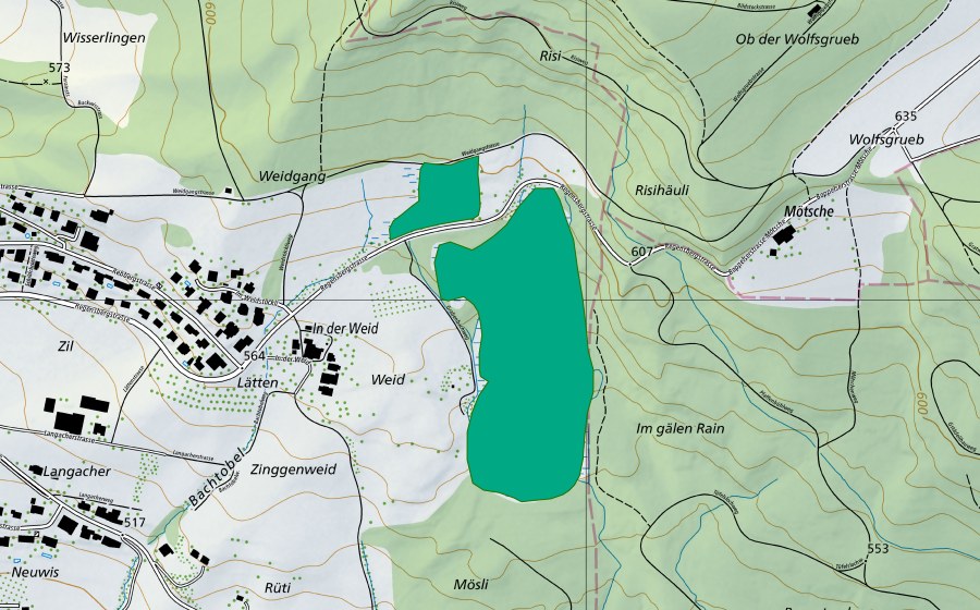 Landeskarte swisstopo mit dem Schutzperimeter von Boppelser Weid (Flachmoor)