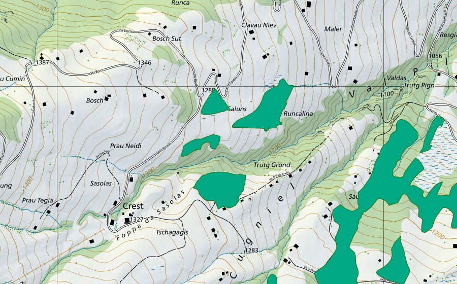 swisstopo national map showing the protected perimeter of Bosch (Fen)