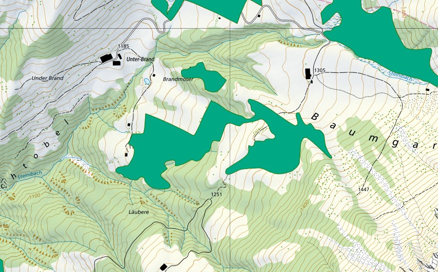 swisstopo national map showing the protected perimeter of Brandmöser (Fen)