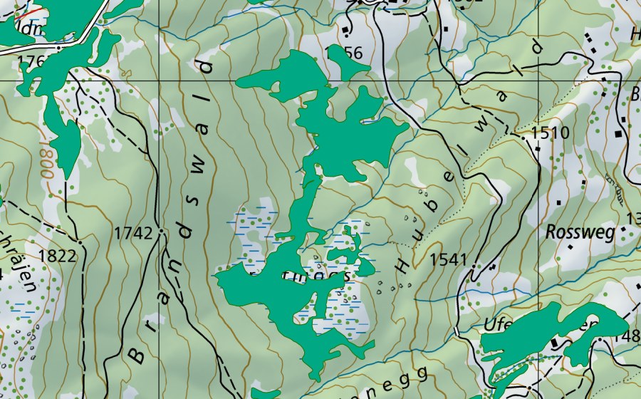 swisstopo national map showing the protected perimeter of Breitmoos (Fen)