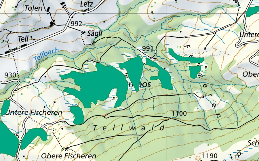 swisstopo national map showing the protected perimeter of Breitmoos (Fen)