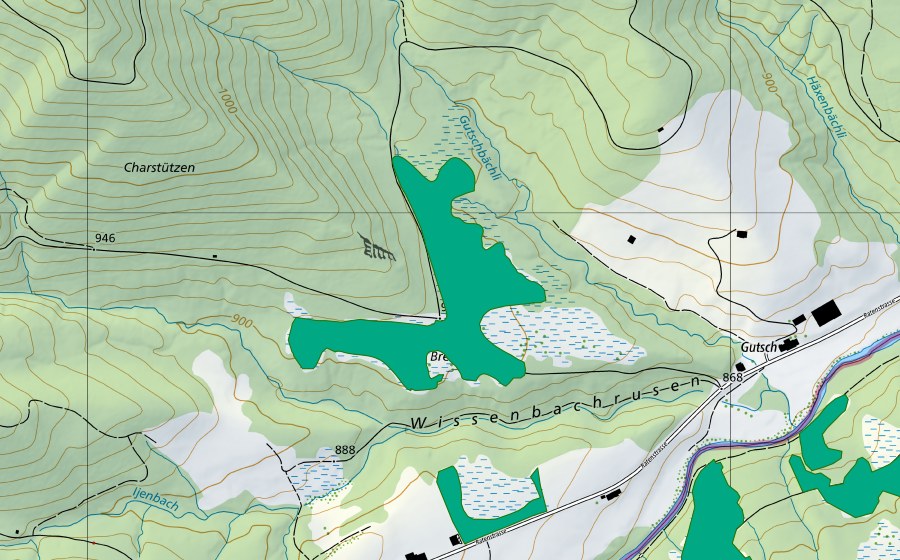 swisstopo national map showing the protected perimeter of Breitried (Fen)