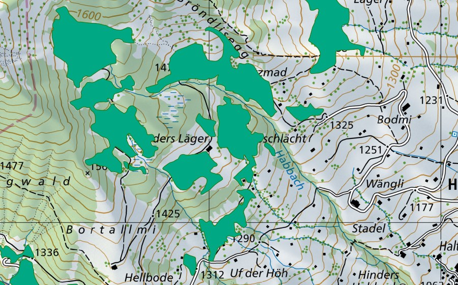 swisstopo national map showing the protected perimeter of Bröndlisegg/Hinters Läger (Fen)