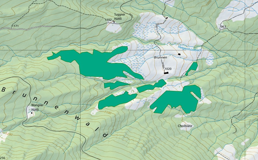 Landeskarte swisstopo mit dem Schutzperimeter von Brunnen (Flachmoor)