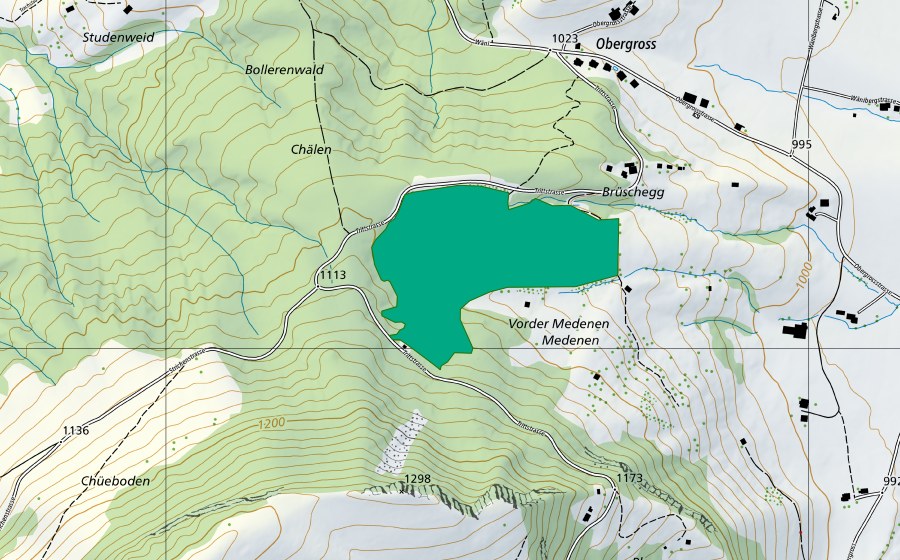 Landeskarte swisstopo mit dem Schutzperimeter von Brüschegg (Flachmoor)