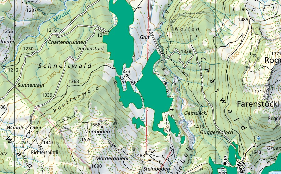 Landeskarte swisstopo mit dem Schutzperimeter von Bueffen (Flachmoor)