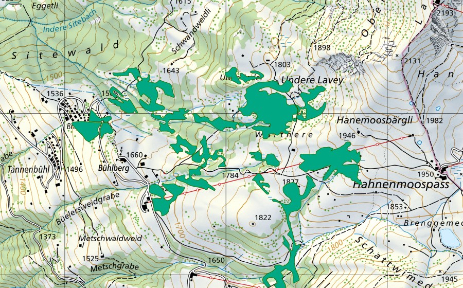 swisstopo national map showing the protected perimeter of Büelberg/Würtnere (Fen)