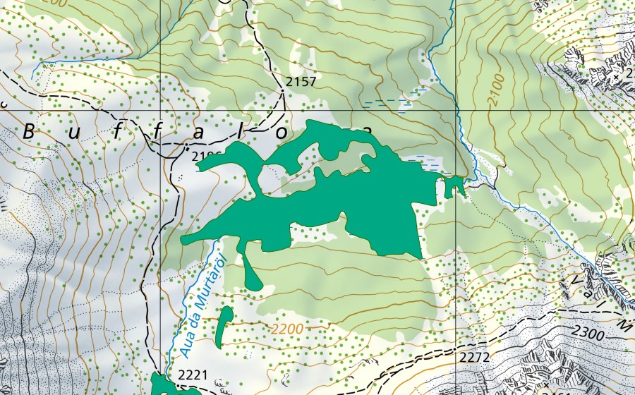 swisstopo national map showing the protected perimeter of Buffalora (Fen)