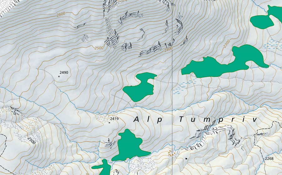 swisstopo national map showing the protected perimeter of Bultger (Fen)