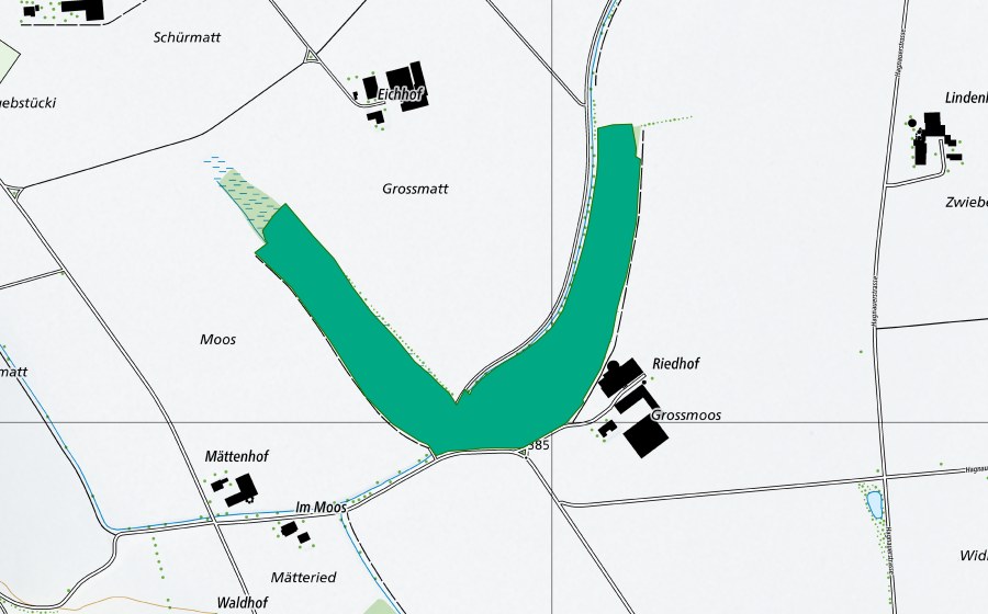 swisstopo national map showing the protected perimeter of Bunau (Fen)