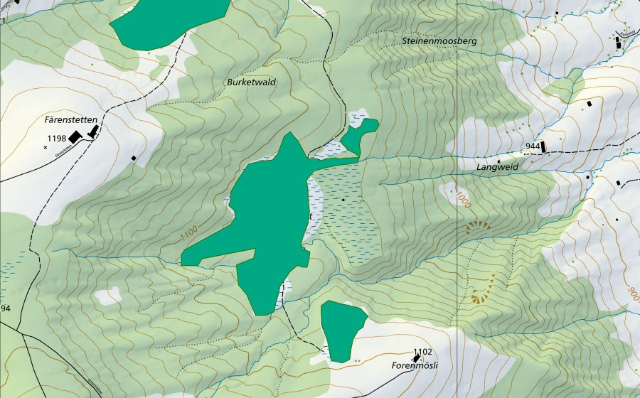 Landeskarte swisstopo mit dem Schutzperimeter von Burket Wald (Flachmoor)