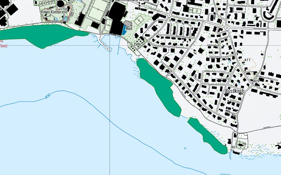 Carte nationale swisstopo avec le périmètre protégé de Busskircher Riet (Bas-marais)