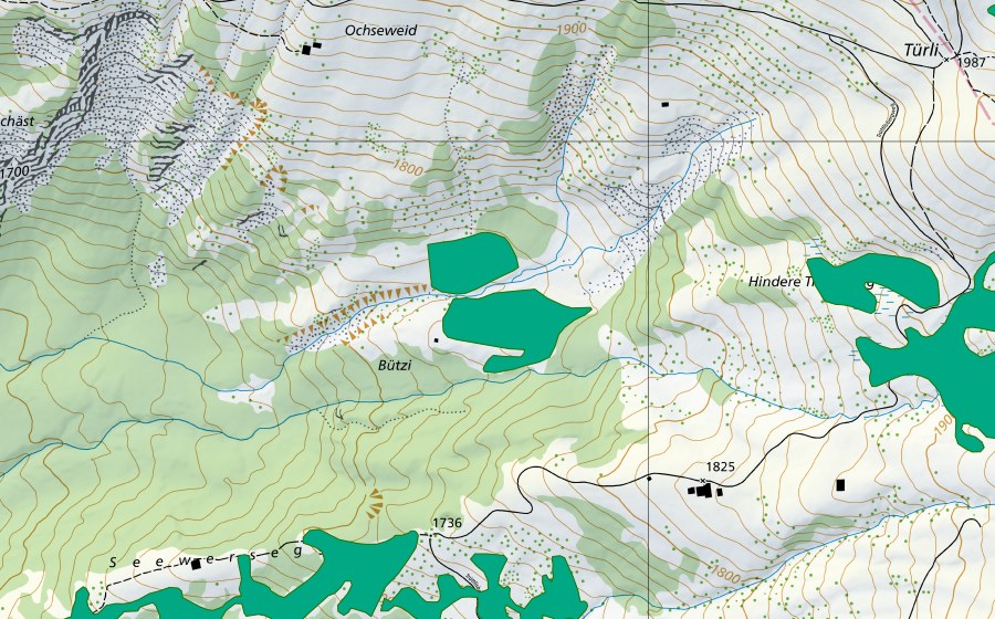 Landeskarte swisstopo mit dem Schutzperimeter von Bützi (Flachmoor)