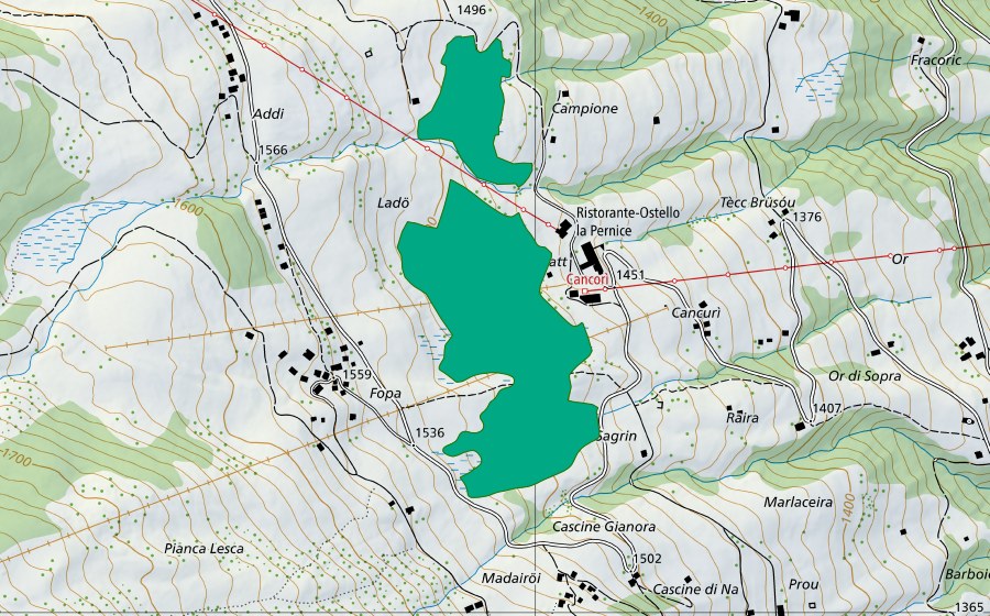 swisstopo national map showing the protected perimeter of Carà-Foppa (Fen)