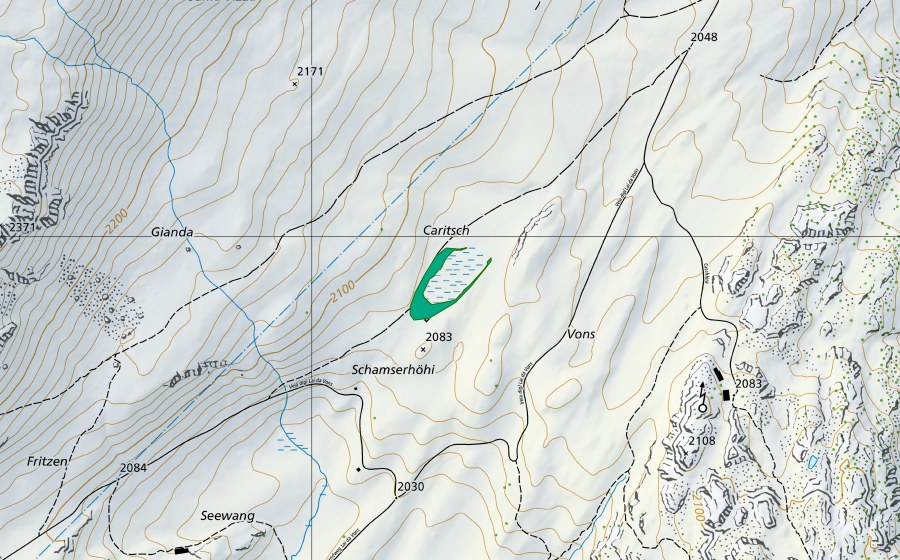 swisstopo national map showing the protected perimeter of Caritsch (Fen)