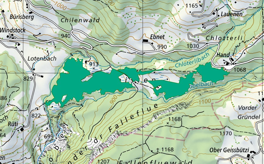 Landeskarte swisstopo mit dem Schutzperimeter von Chaisten (Flachmoor)