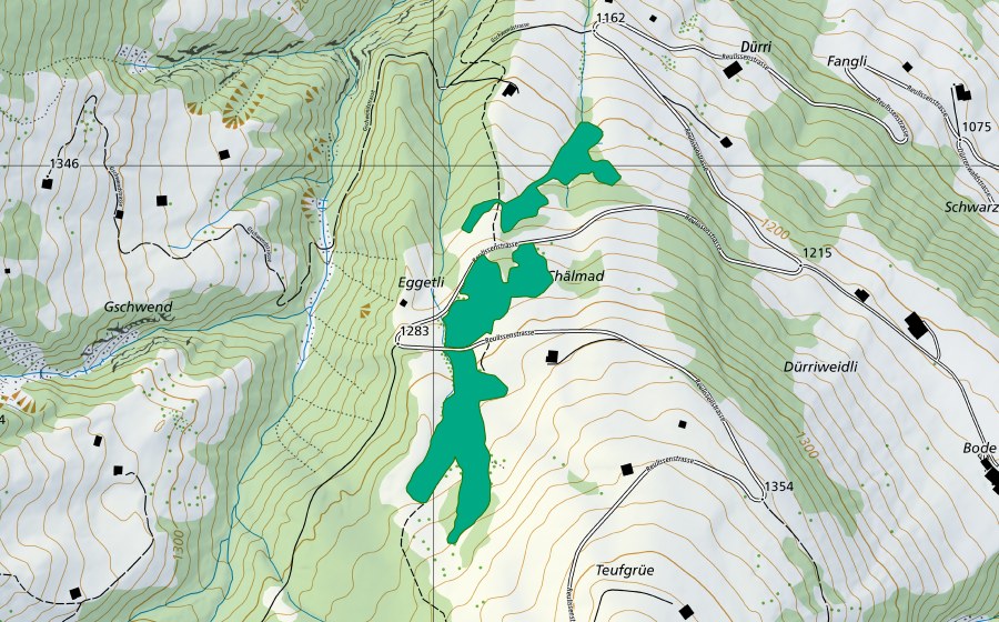 Landeskarte swisstopo mit dem Schutzperimeter von Chälmad (Flachmoor)