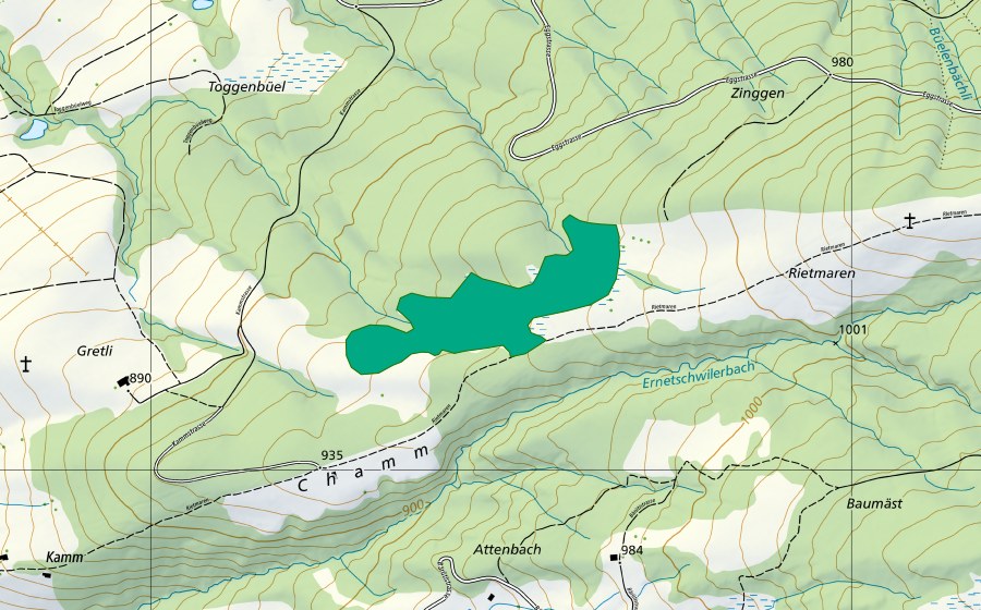 swisstopo national map showing the protected perimeter of Chamm (Fen)