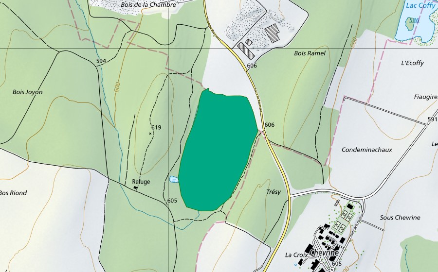 Carte nationale swisstopo avec le périmètre protégé de Champ-Buet (Bas-marais)