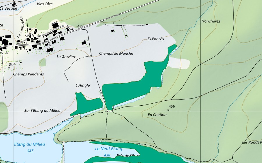 Carte nationale swisstopo avec le périmètre protégé de Champs de Manche (Bas-marais)