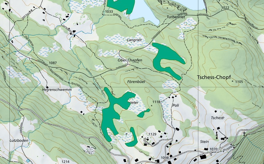 Carta nazionale swisstopo con il perimetro protetto di Chapfensee (Torbiera bassa)