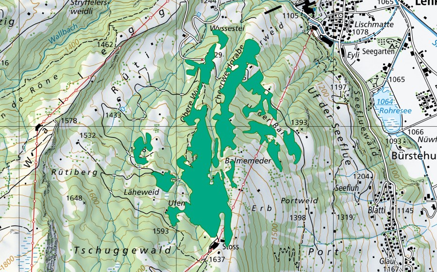 swisstopo national map showing the protected perimeter of Cheerweid/Ufem Lähe (Fen)