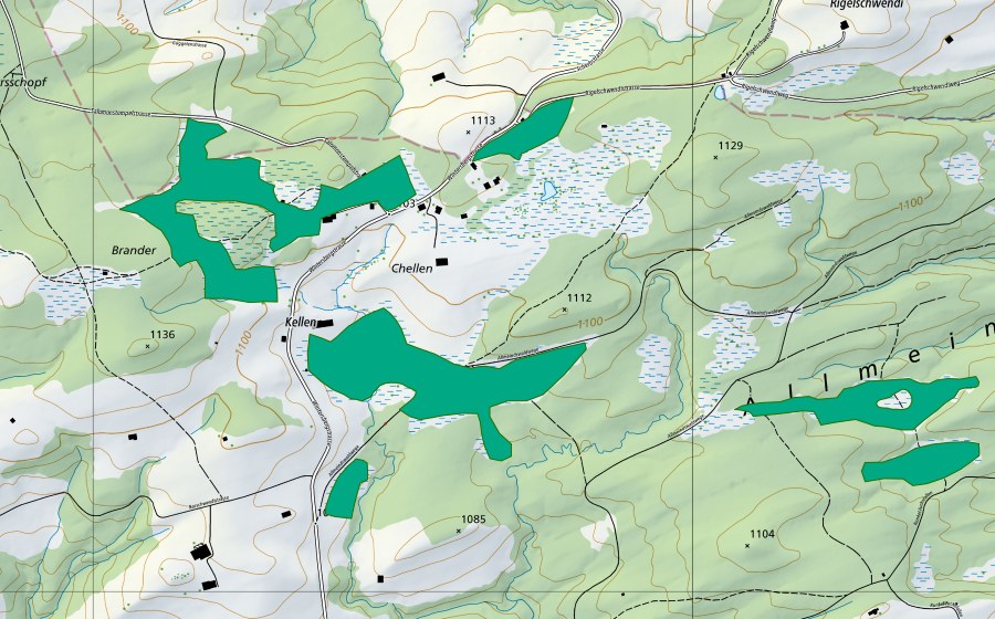 Landeskarte swisstopo mit dem Schutzperimeter von Chellen/Allmeindswald (Flachmoor)