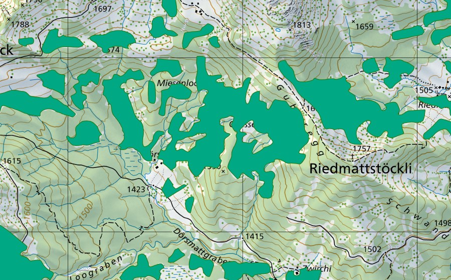 Landeskarte swisstopo mit dem Schutzperimeter von Chesselsmatt (Flachmoor)