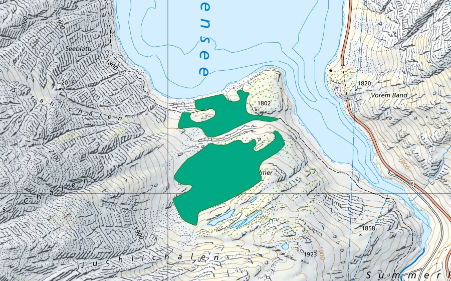 swisstopo national map showing the protected perimeter of Chessibidmer (Fen)