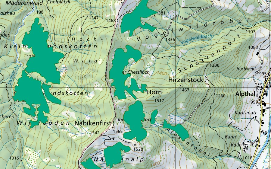 Carta nazionale swisstopo con il perimetro protetto di Chessiloch (Torbiera bassa)