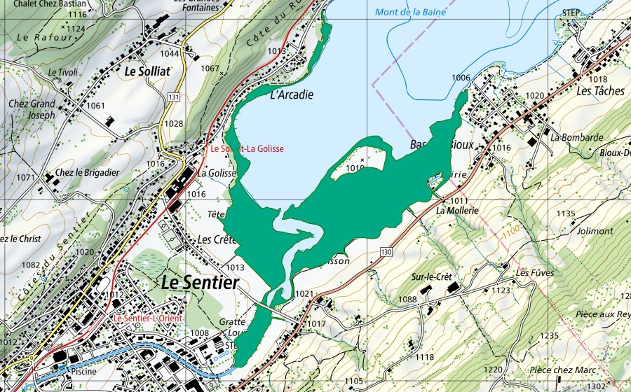 Landeskarte swisstopo mit dem Schutzperimeter von Chez le Poisson (Flachmoor)