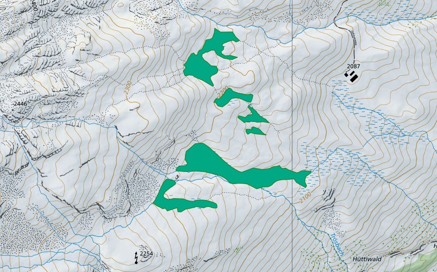 Landeskarte swisstopo mit dem Schutzperimeter von Chilchalp (Flachmoor)