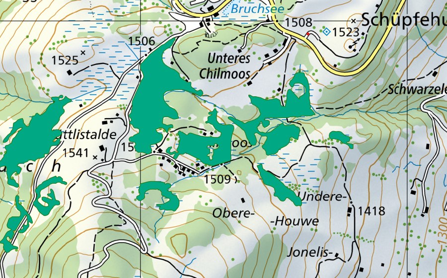 Landeskarte swisstopo mit dem Schutzperimeter von Chilmoos (Flachmoor)
