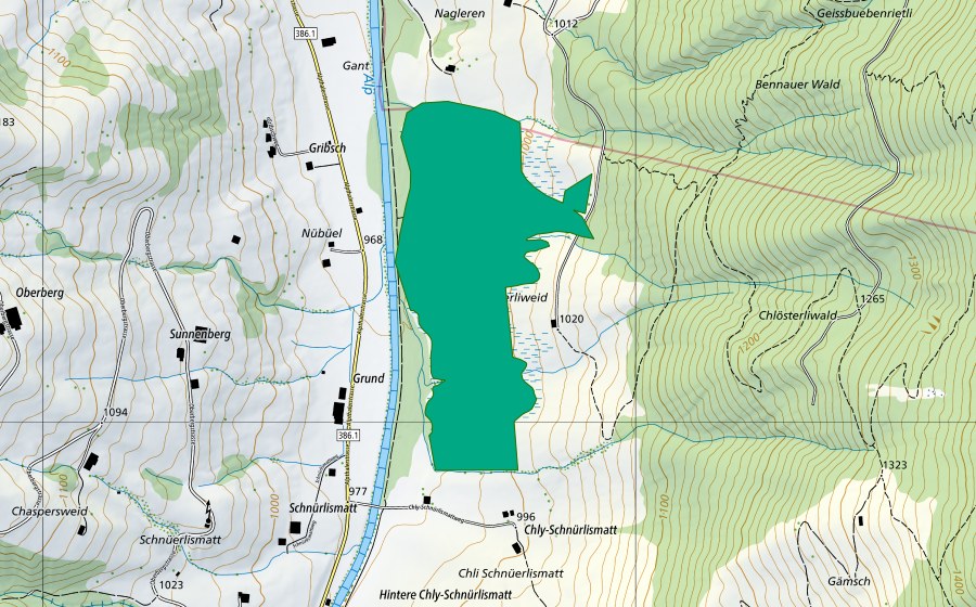 Landeskarte swisstopo mit dem Schutzperimeter von Chlösterliweid (Flachmoor)