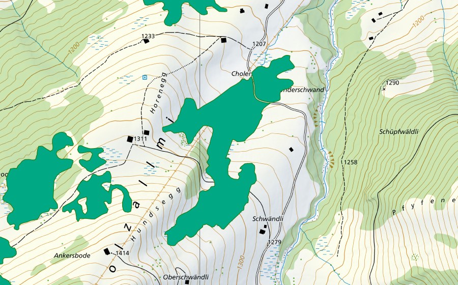 Carte nationale swisstopo avec le périmètre protégé de Cholersmoos (Bas-marais)