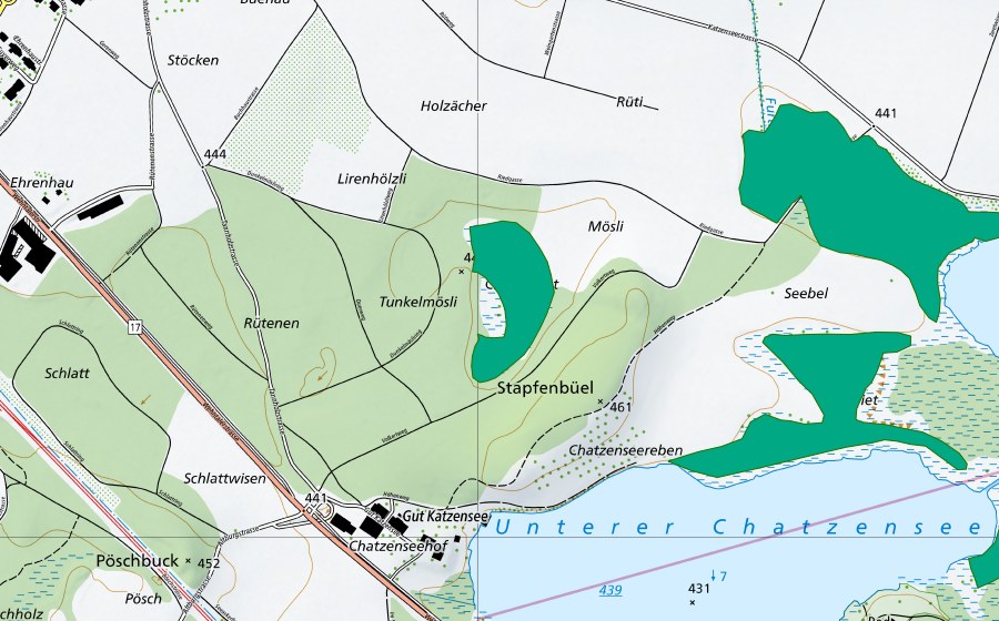 Landeskarte swisstopo mit dem Schutzperimeter von Chräenriet (Flachmoor)