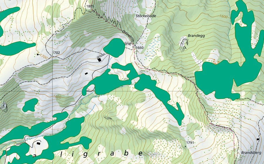 Carta nazionale swisstopo con il perimetro protetto di Chrine (Torbiera bassa)