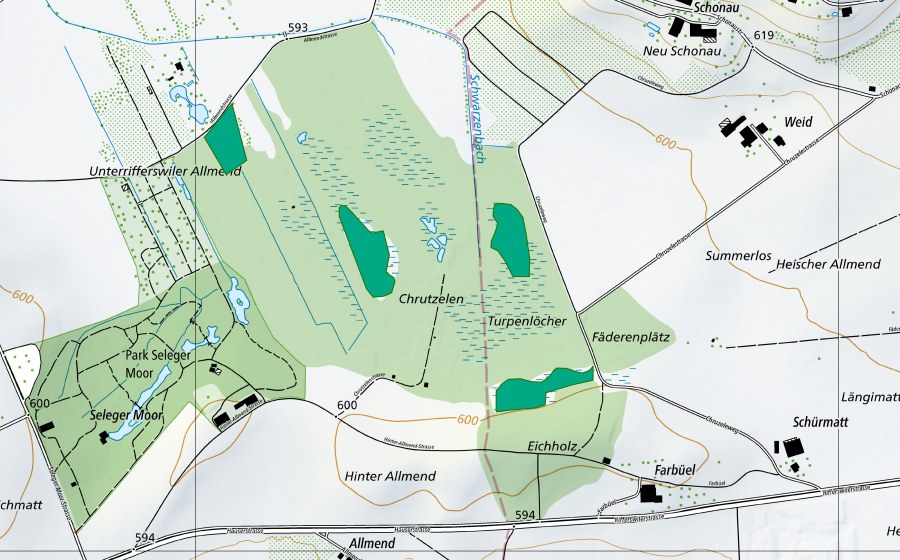 Landeskarte swisstopo mit dem Schutzperimeter von Chrutzelen (Flachmoor)