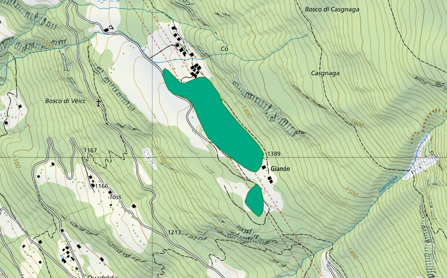 Landeskarte swisstopo mit dem Schutzperimeter von Cò (Flachmoor)