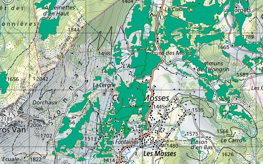 Carta nazionale swisstopo con il perimetro protetto di Col des Mosses (Torbiera bassa)