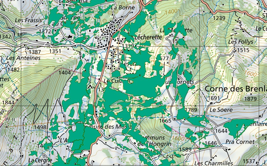 Carta nazionale swisstopo con il perimetro protetto di Communs des Mosses, est de la route (Torbiera bassa)